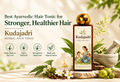  Alaigram Kudajadri Ayurvedic hair tonic bottle