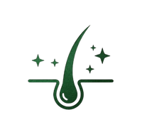 icon_policy