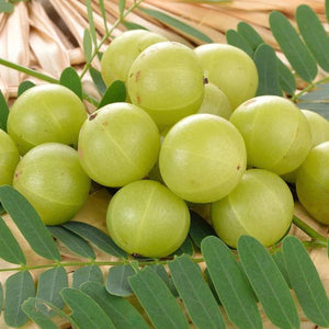 Nellika